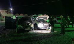 Antalya'da otomobil galerisindeki 6 aracı benzin dökerek ateşe veren kişi tutuklandı