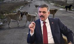Bakan Çiftçi, “Sokak Köpeklerinin %99,9’unu Topladık” Dedi