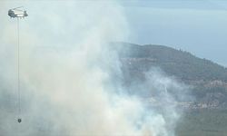 Bodrum'da çıkan orman yangınına müdahale ediliyor