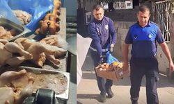 Hatay’daki Restoranda Halka Bozuk Tavuk Yedireceklerdi!