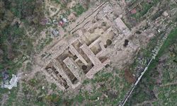 Daskyleion Antik Kenti'ndeki fırında 2 bin 600 yıllık karbonlaşmış tohumlar bulundu