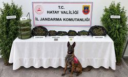 Hatay'da evinde uyuşturucu ele geçirilen şüpheli yakalandı