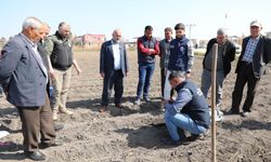 Hatay’da Çiftçilere Ücretsiz Toprak Analizi ve Büyükbaş Tırnak Bakımı!