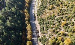 Isparta'nın yaylaları sonbaharın renklerine büründü