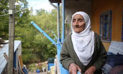 Kayseri'nin asırlık çınarları yıllara meydan okuyor