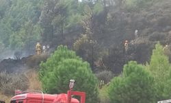 Mersin'de orman alanı dışındaki arazide çıkan yangın söndürüldü