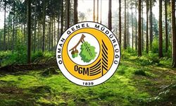 Orman Genel Müdürlüğü 12 müfettiş yardımcısı istihdam edecek