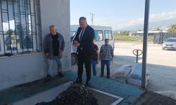 Hatay İl Tarım Müdürü Türkmen'den Zeytin Üreticilerine Uyarı