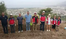 İskenderun’da Çiftçi Safranla Tanıştı