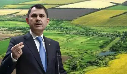 Bakan'dan Tapu Müjdesi