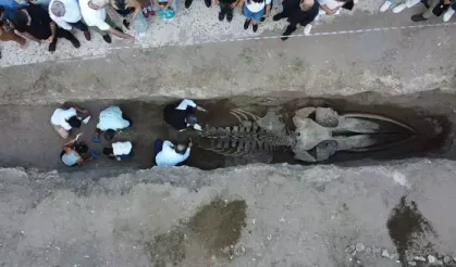 Mersin'de Tarihi Keşif! Sadece Kafatası 2 Metre