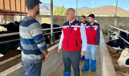 Hatay'da Hayvancılıkta Yeni Dönem
