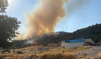 Kaş'ta makilik alanda çıkan yangına müdahale ediliyor