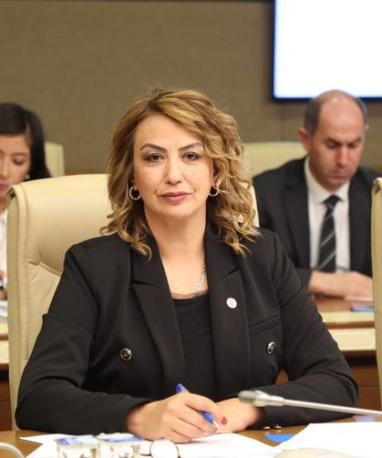 Milletvekili Kara, Emeklilerin Sorunlarını Meclise Taşıdı