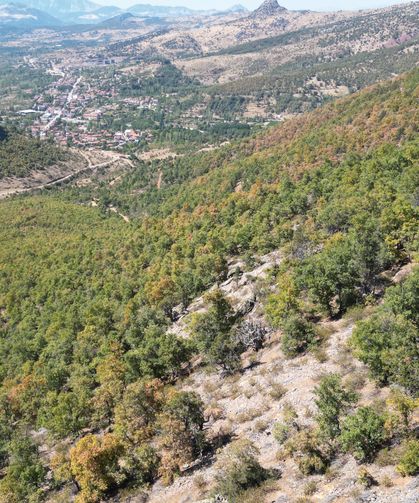 Hatay'da 440 Bin Hektar Ormanlık Alan İmara Açılıyor