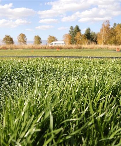 Hatay'da 2/B Arazi Satışı Başlıyor: 5 Mahallede Hak Sahiplerine Çağrı!