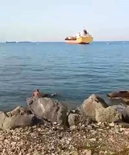 Gemiden Denize Düşen Angus Mucizevi Şekilde Kurtuldu !