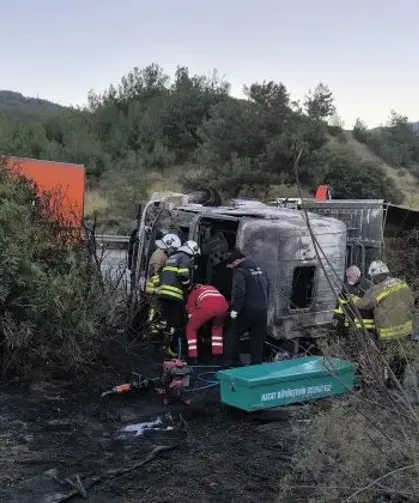 Hatay’da Facia Gibi Kaza: Tır Yandı, Anguslar Otobana Saçıldı