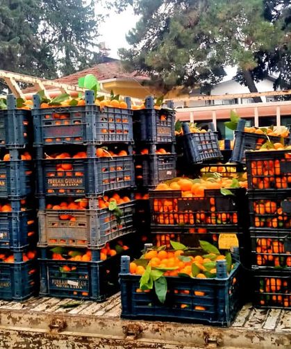 Alaçatı’dan Hatay’a Dayanışma Köprüsü : Umut Taşındı !