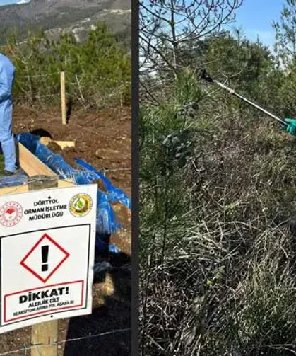 Hatay'da 279 Hektar Ormanlık Alan İlaçlanıyor