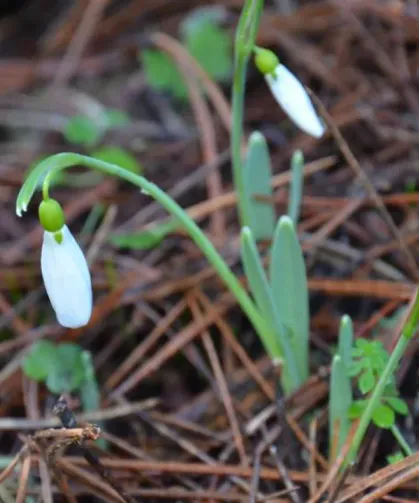 Bunu Koparan Yandı: Cezası 699 Bin TL’ye Dayandı