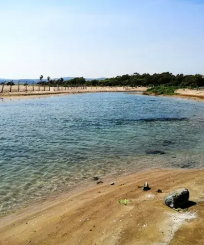 Son Olarak Erzin'de Görüldü, Korunmazsa Yok Olacak