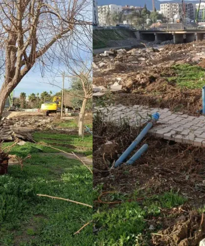Asi Kıyısında Ağaçlar Bir Bir Yok Oluyor !
