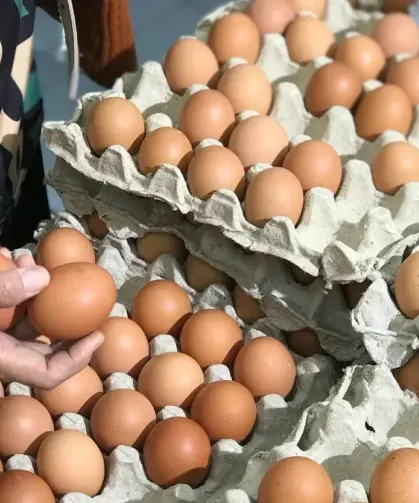 Yumurtada Yeni Dönem: Artık Satılmayacak!