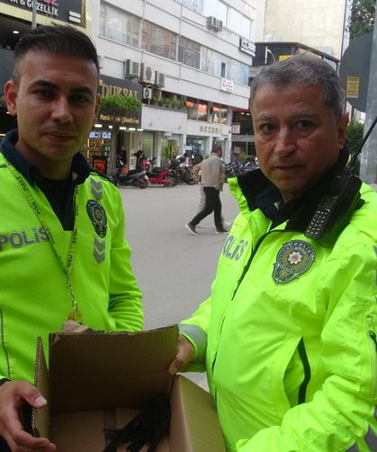Göç Yolunda Bitkin Düşen Ebabil Kuşlarına Polis Şefkati