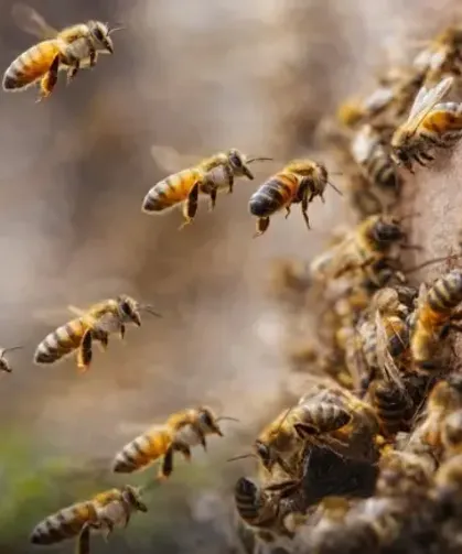 Arılar En Önemli Canlı Türü İlan Edildi: Arılar Yok Olursa Ne Olur?