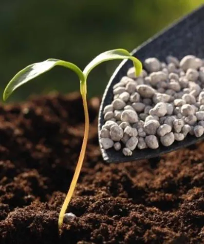 Gübrede Kritik Karar: Üre İthalatında Gümrük Vergisi Sıfırlandı