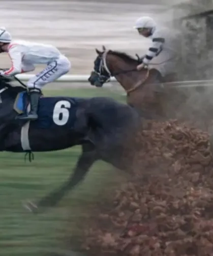 Mersin'de Yarış Atı Kavurma Skandalının Cezası Kesildi "132 Bin TL"