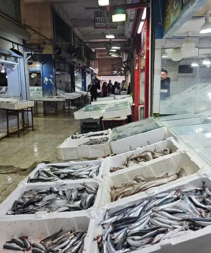 Antakya Balık Pazarı İçin Yeni Karar!