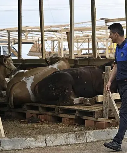Kurban Bayramı Kuralları Açıklandı: İşte Kesilecek Ceza Tutarları!