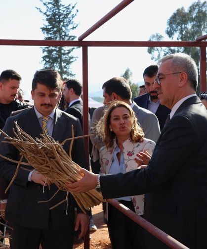 Dev Proje İle Kırıkhan Kazanıyor: İstilacı Bitkiden Milyonluk Potansiyel