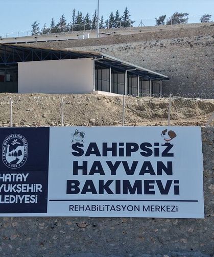 Hatay'da Sahipsiz Hayvanlar İçin Dev Merkez !