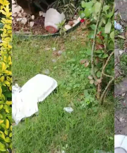 Topluma Örnek Olması Gereken Hatay Adliyesi'nde Çöp ve İzmarit Tepkisi