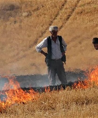 Hatay’da Çevreyi Koruyan Adım Meyvesini Verdi !
