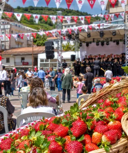 Yayladağı'nda Çilek Ve Müzik Şöleni Başlıyor! Festival Tarihi Belli Oldu