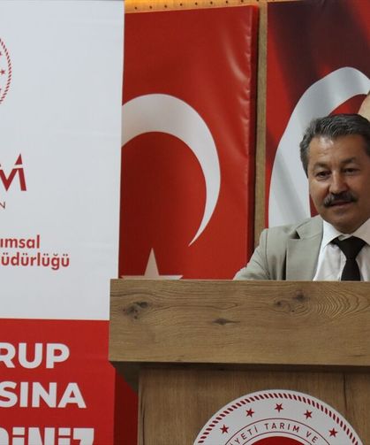 Hatay Zeytininin Verimi Düşüyor Mu? Kritik Toplantı Yapıldı!