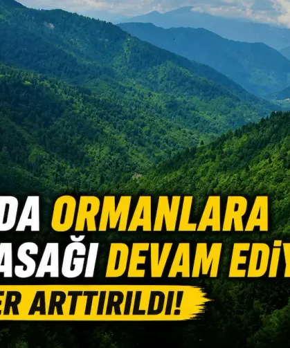 Hatay’da Ormanlara Giriş Yasağı Devam Ediyor, Tedbirler Arttırıldı!