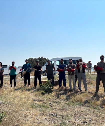Hatay'da Yaralı Bulunmuşlardı... 18 Kuş Özgürlüğe Kavuştu