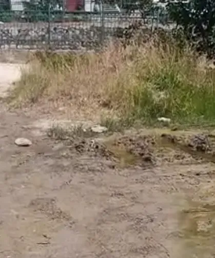Defne'de Büyük İhmal: Bir Aydır Çözülmeyen Soruna Tepkiler Yükseldi!