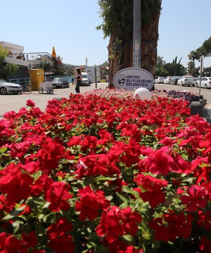 Arsuz’un Çehresi Değişti! HBB’nin Dokunuşu İlçeyi Rengârenk Yaptı