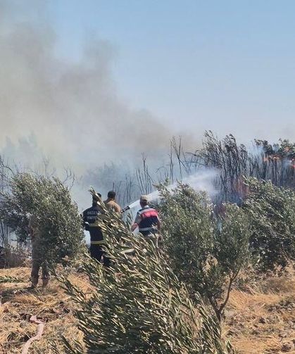 Hatay'da Zeytinlik Alanda Çıkan Yangın Söndürüldü