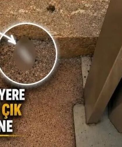 İskenderun’da Başkan Dönmez’den Vatandaşlara Temizlik Çağrısı