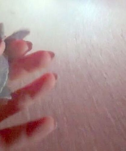 Samandağ’da Caretta Caretta Yavruları İçin Önlemler Yetersiz Mi Kaldı?