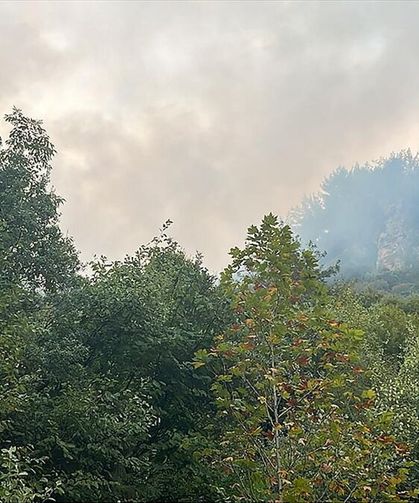 Hatay'da ormanlık alanda çıkan yangın kontrol altına alındı