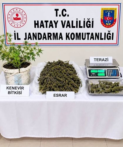 Hatay'da Evinde 3 Kilo 578 Gram Esrar Ele Geçirilen Zanlı Tutuklandı
