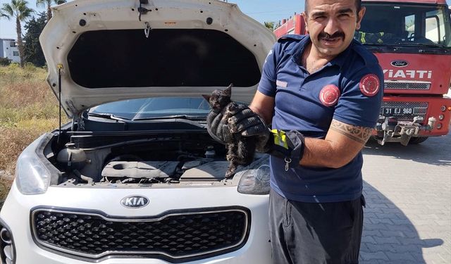 Cipin Motor Kısmına Sıkışan Kedi Yavrusu Kurtarıldı